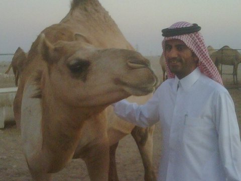 The Camel Sheikh at a family camel farm in Qatar